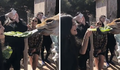 jordyn woods birthday party 2 jordyn woods birthday party 2