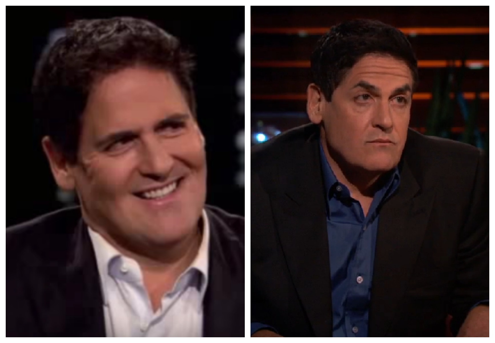 Mark shark tank