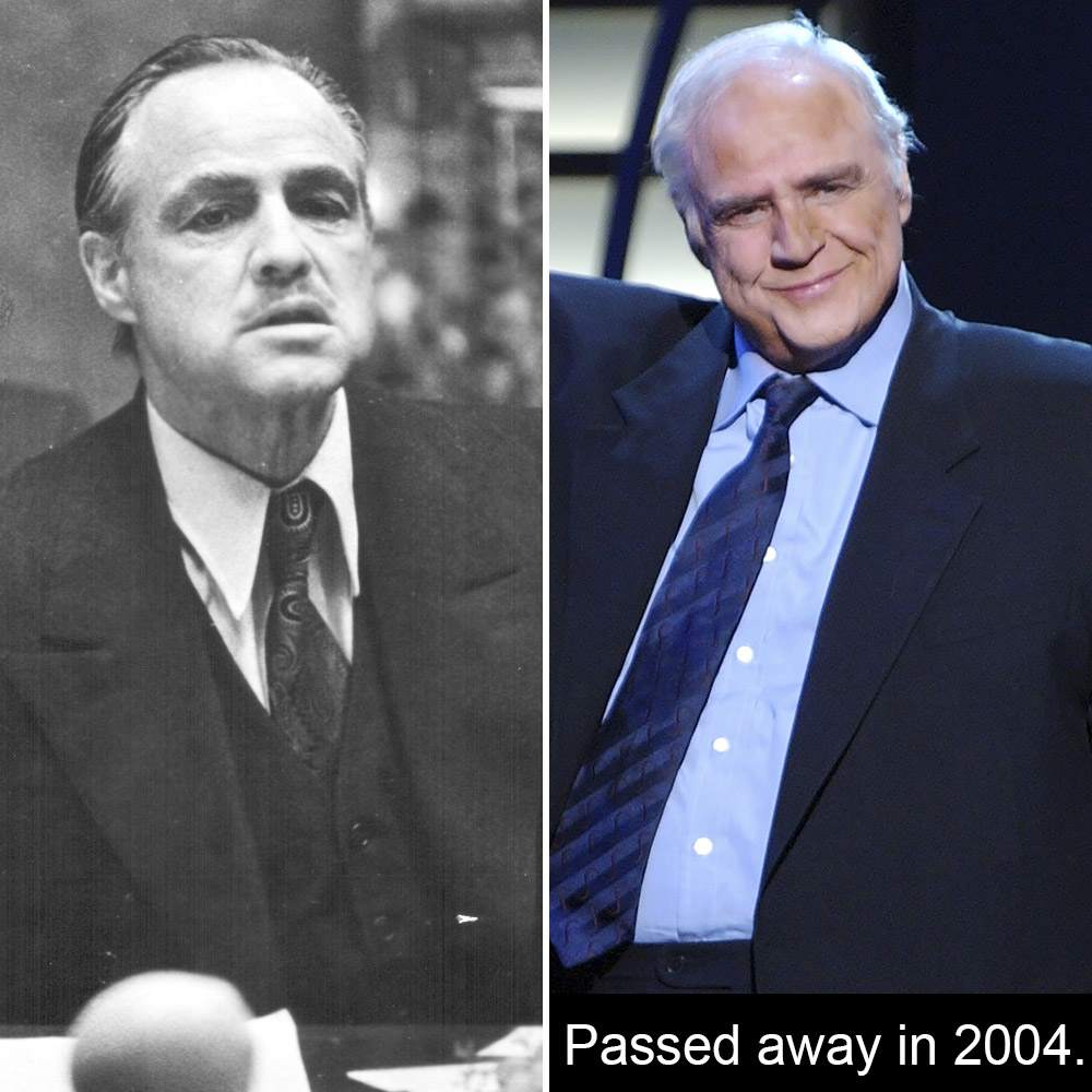 Marlon brando the godfather
