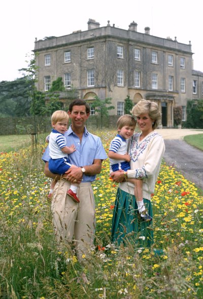 princess diana prince charles kids getty images princess diana prince charles kids getty images