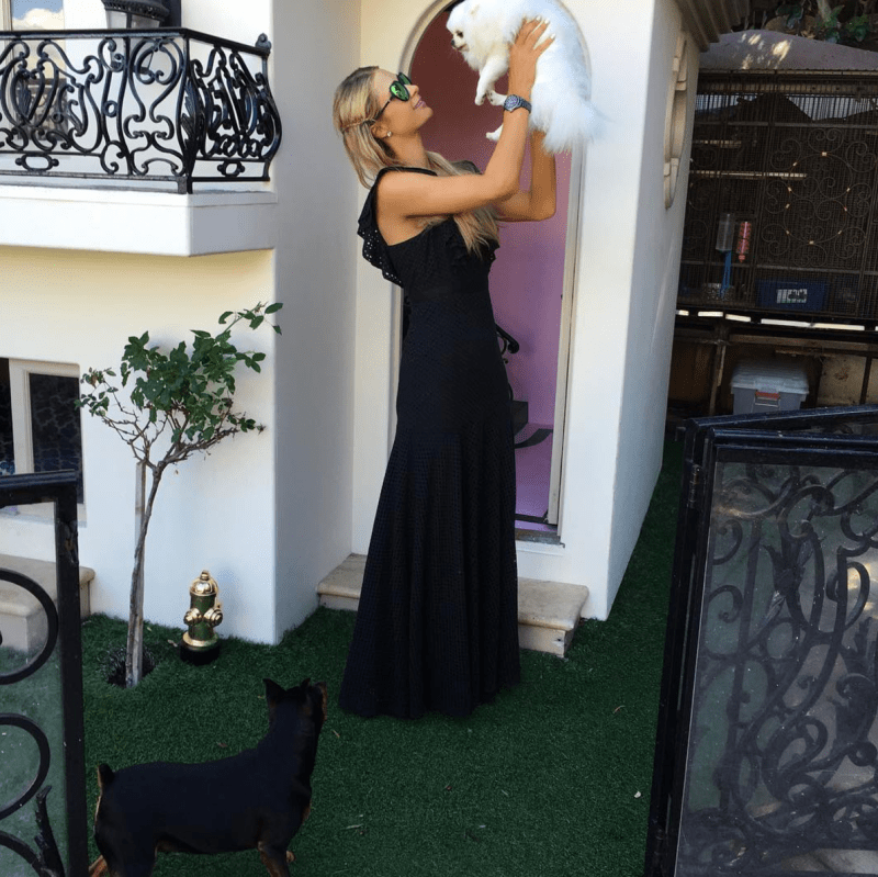 Screen shot 2017 06 19 at 4 46 39 pm