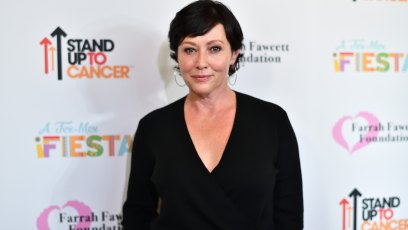 Shannen doherty cancer battle