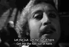 Young frankenstein gif