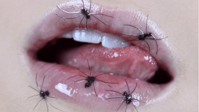 Halloween lipstick spider