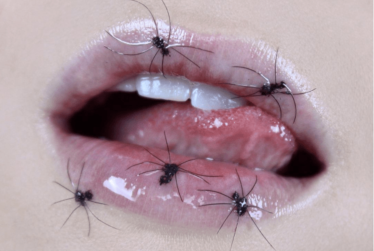 Halloween lipstick spider