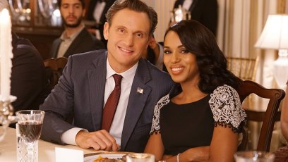 Is fitz season 7 scandal