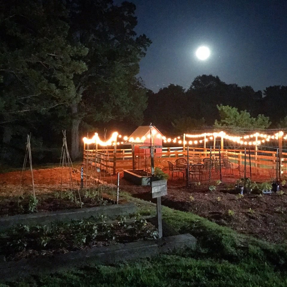 Jana duggar garden