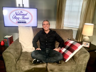 andy cohen purina andy cohen purina