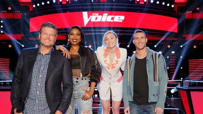 Who has a steal left on the voice