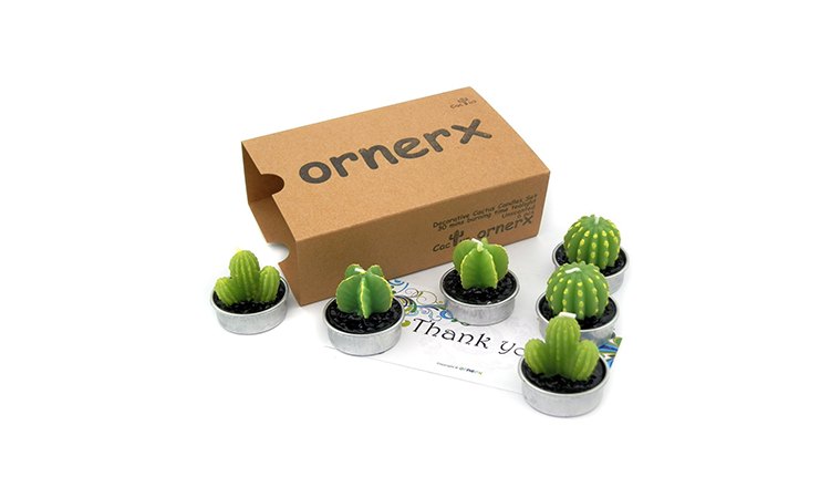 Cacti candles christmas