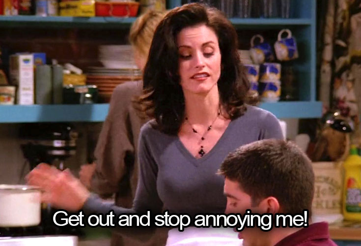 monica geller quote 7