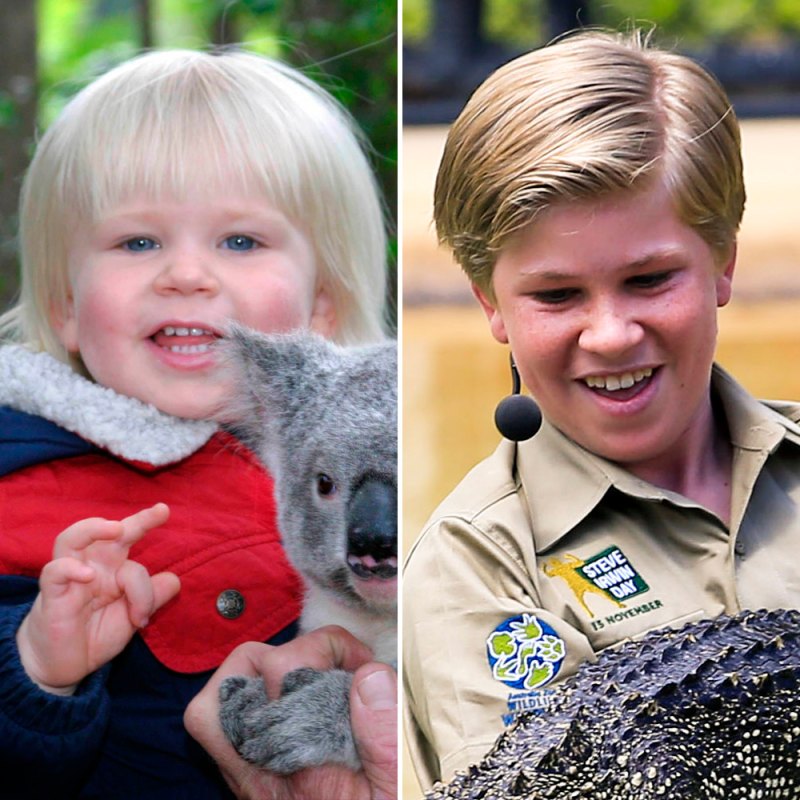 Robert irwin