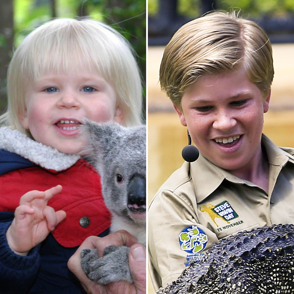 Robert irwin