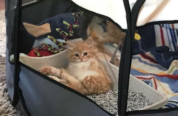 Bad skincare advice 04