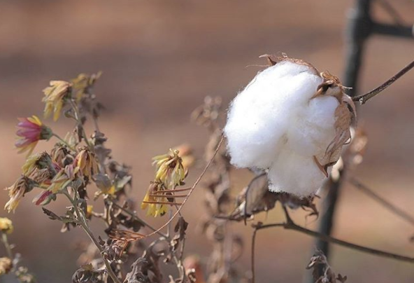 Bad skincare advice 05