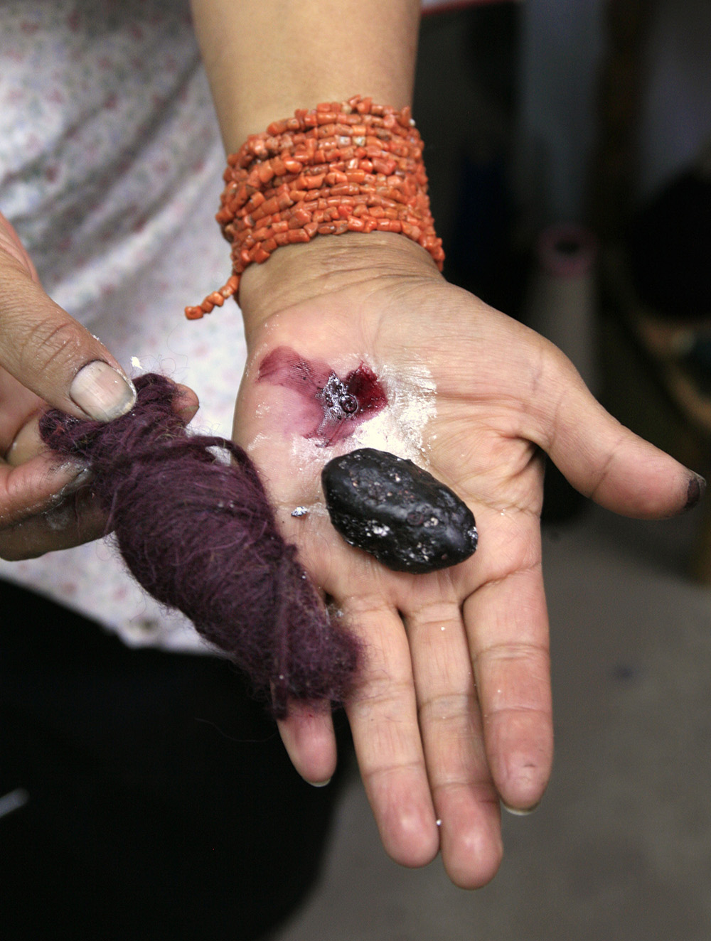 cochineal getty cochineal getty