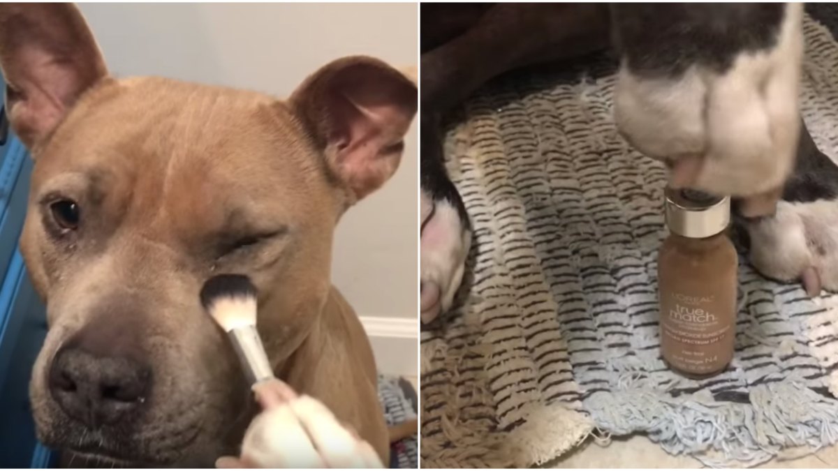 Dos makeup tutorial