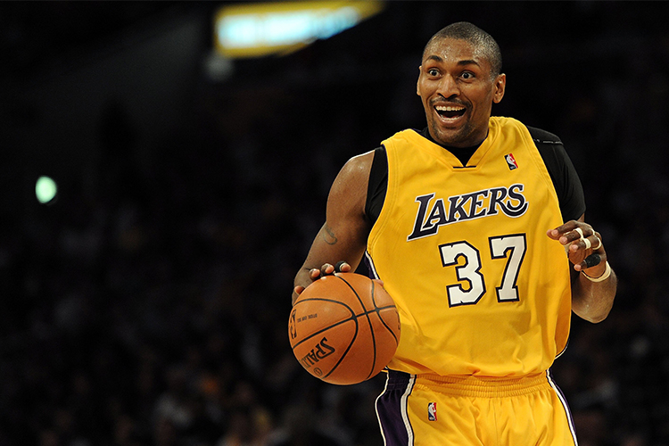 Metta world peace big brother