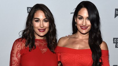 Nikki brie bella return wwe raw