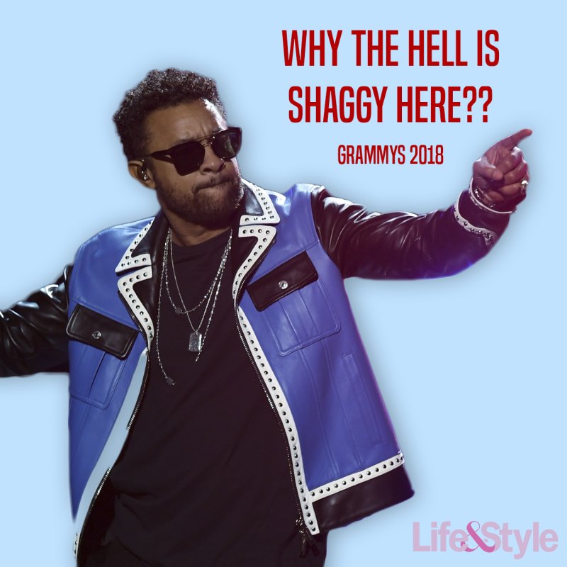 Shaggy grammys 2018 ls