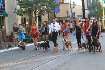 the bachelor 2018 getty images the bachelor 2018 getty images