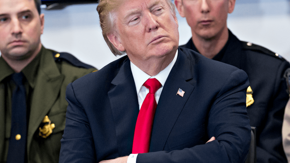 Donald trump hair