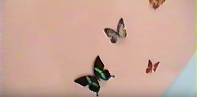 kylie jenner  butterflies baby nursery youtube