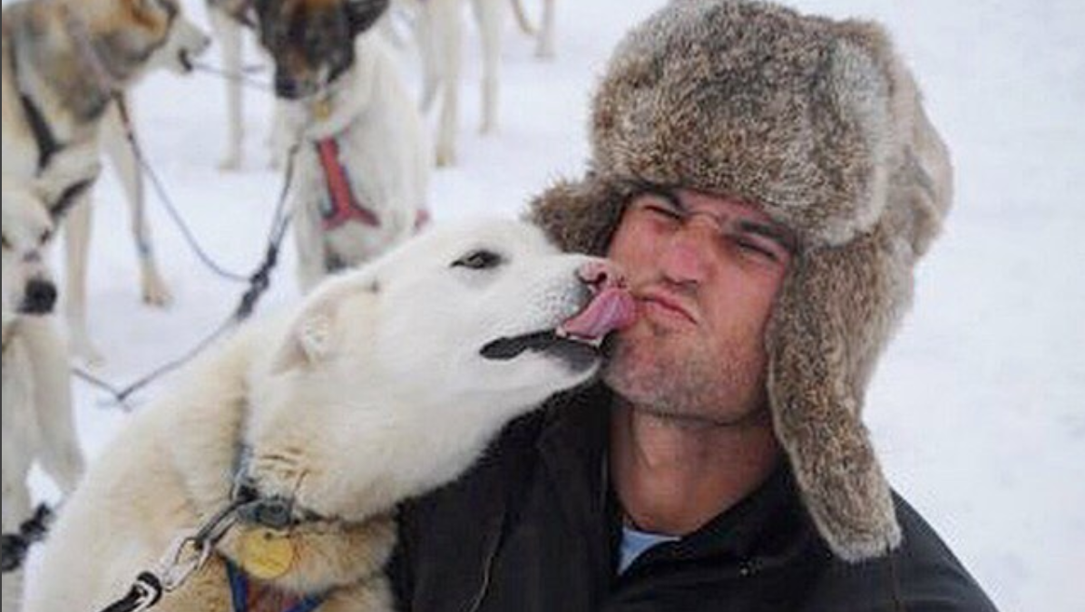 New zealand bachelor