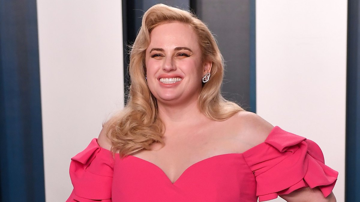 Rebel Wilson Smiles in Pink Gown at Vanity Fair Oscars After Party