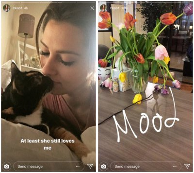 the bachelor instagram the bachelor instagram