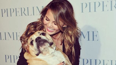 Chrissy teigen dog
