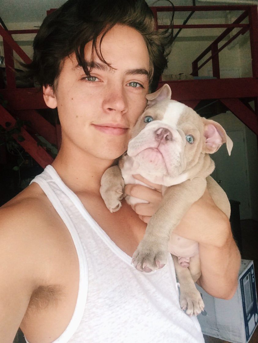 Cole sprouse magnus puppy