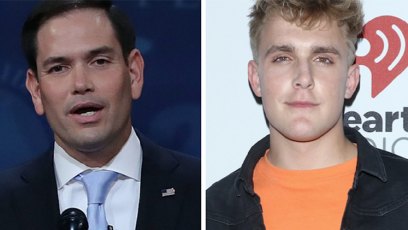 Marco rubio jake paul gun violence video