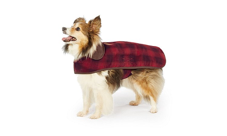 Pendleton wool dog jacket