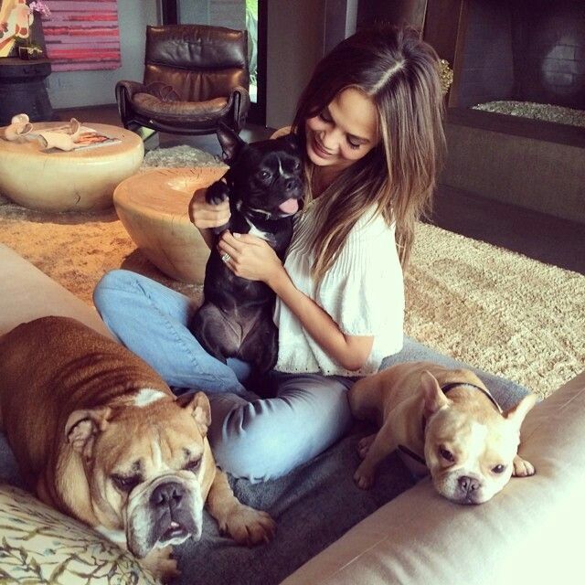 Chrissy teigen dogs