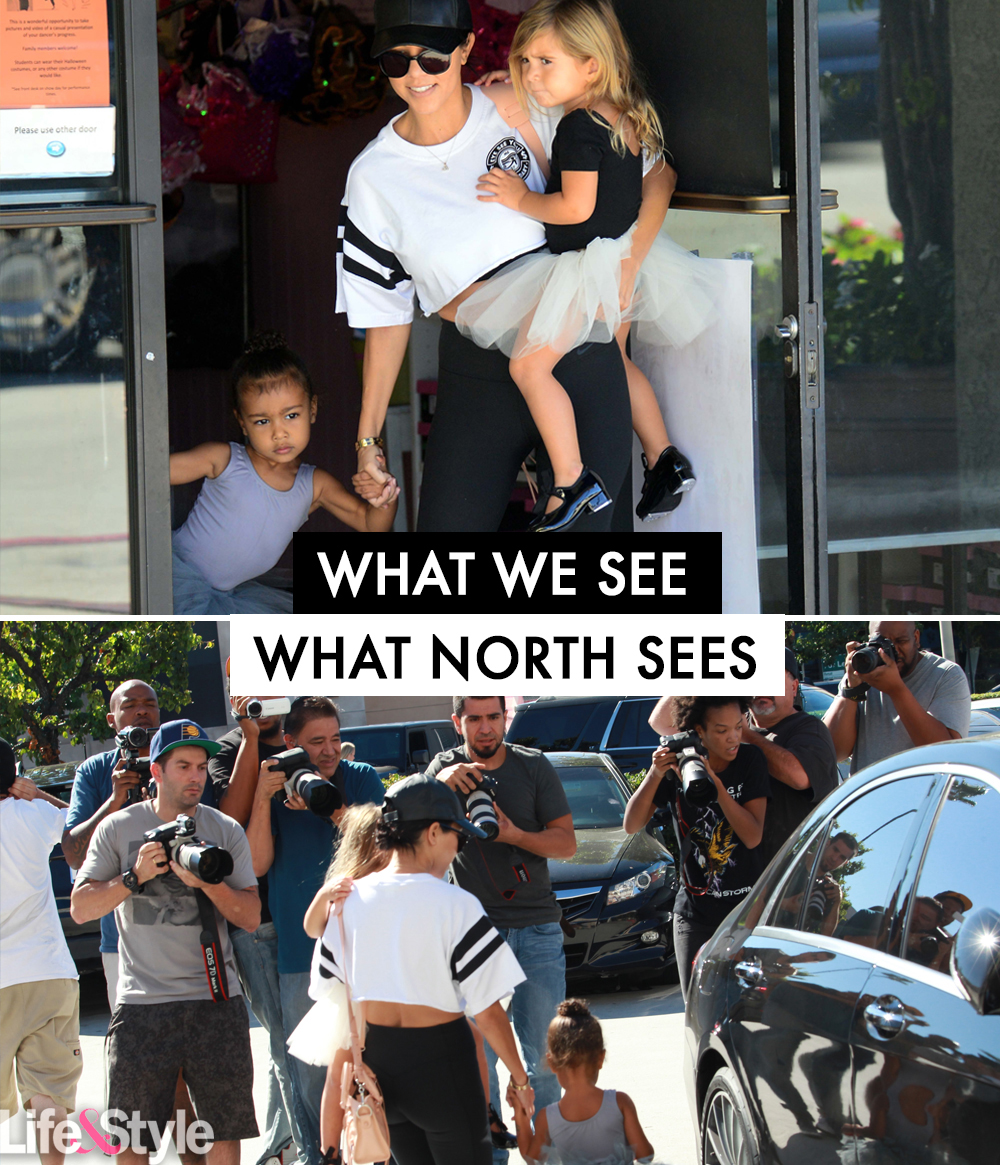 North paparazzi pov new logo