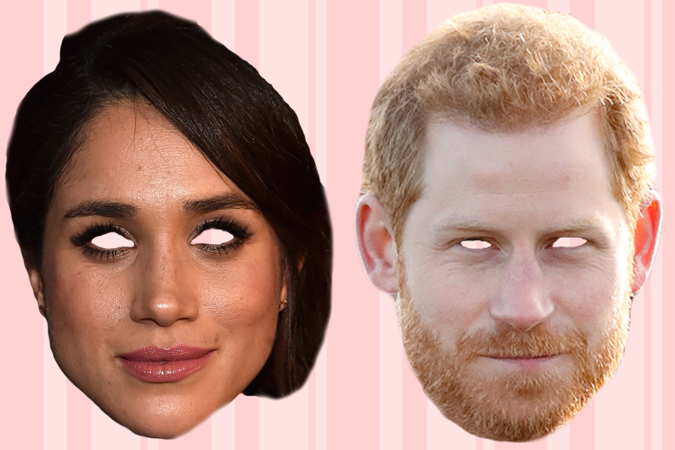 Prince harry meghan masks inline