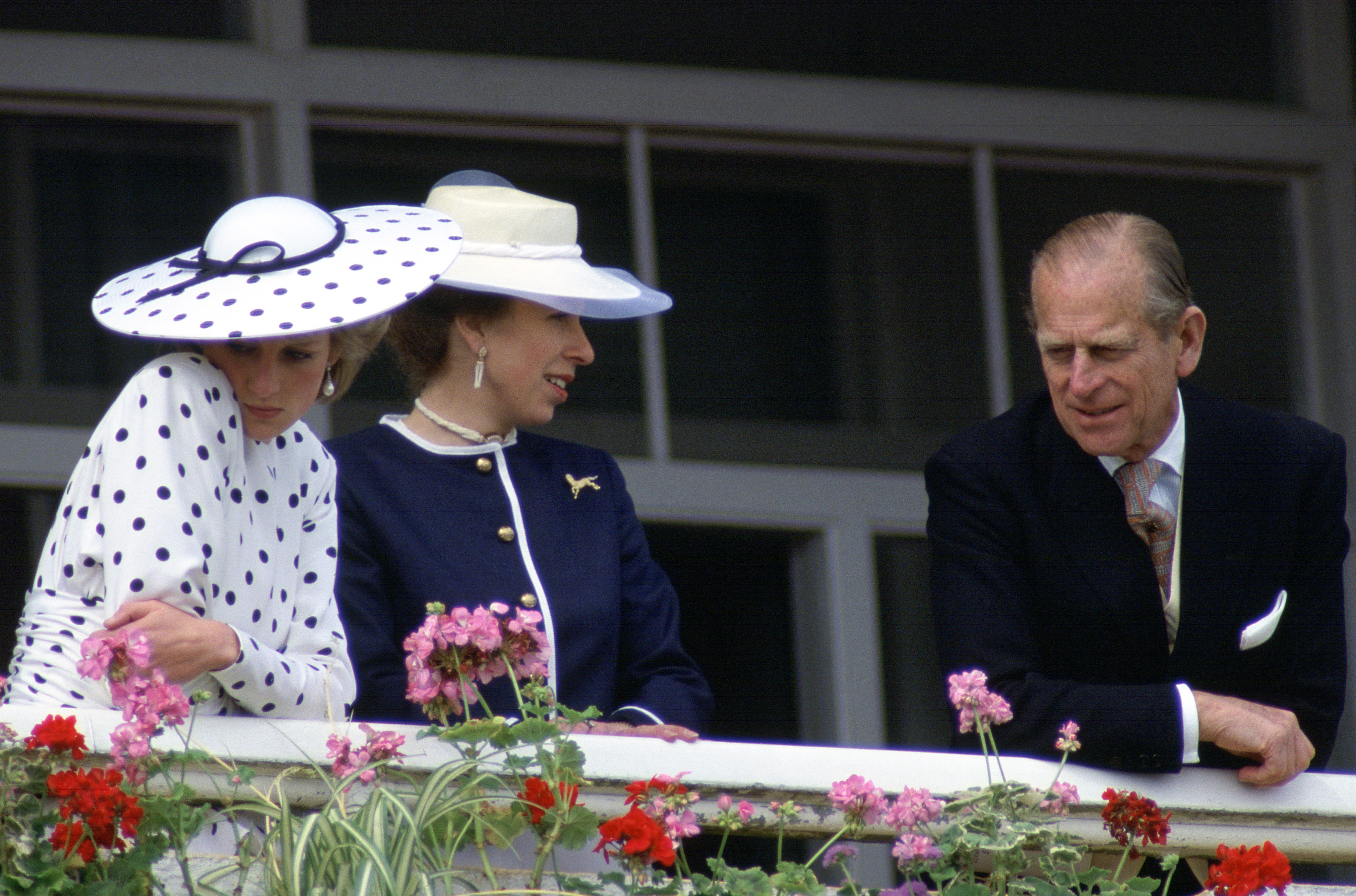 Princess diana prisoner