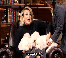 puppies giphy puppies giphy