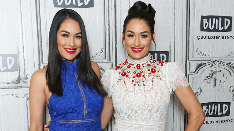 Nikki brie dad explainer