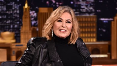 Roseanne barr podcast