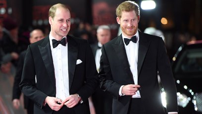 Prince harry william