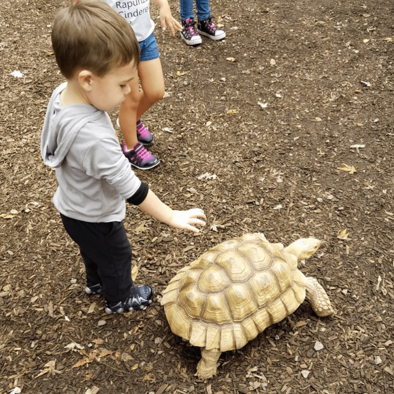 Carrie underwood son isaiah 11