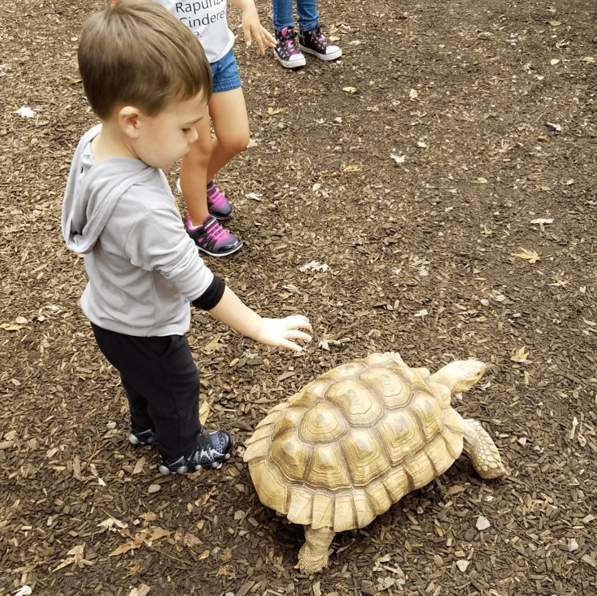 Carrie underwood son isaiah 11