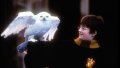 Hp1 daniel radcliffe