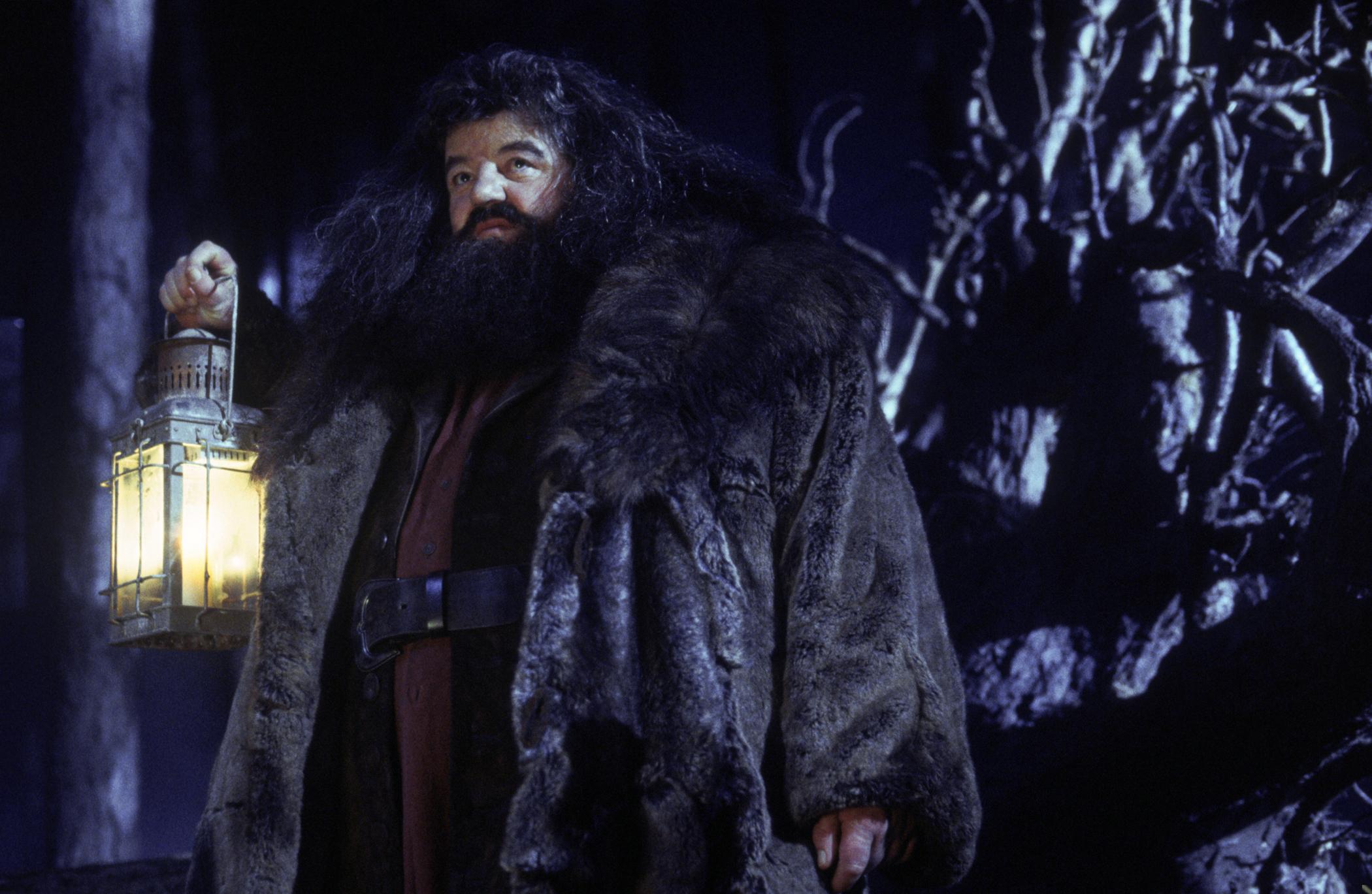 Hp1 hagrid