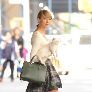 Taylor Swift carrying her cat in NYC