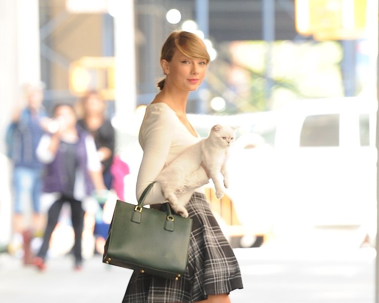 Taylor Swift carrying her cat in NYC