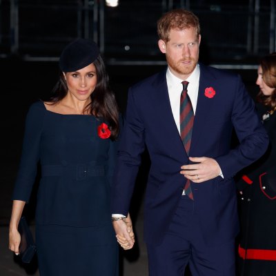 Meghan Markle and Prince Harry in blue