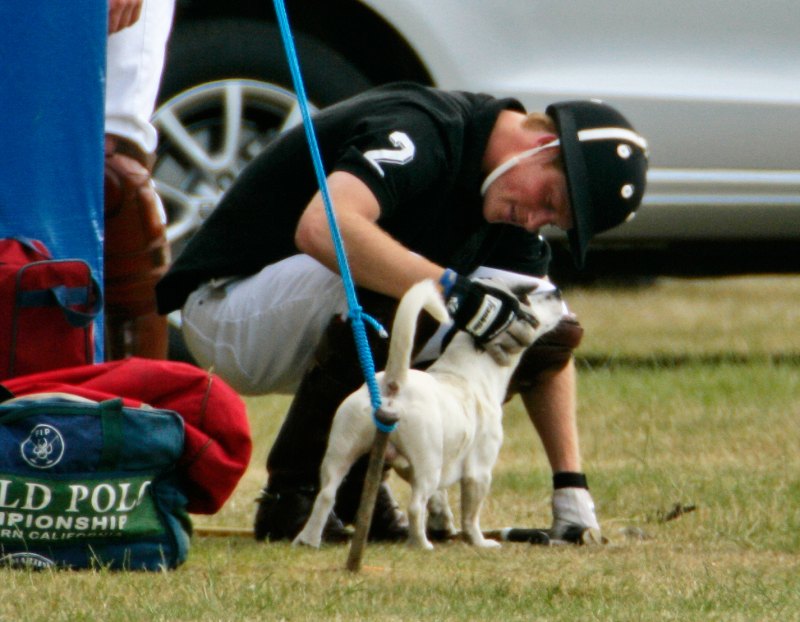 Prince-Harry-Puppies